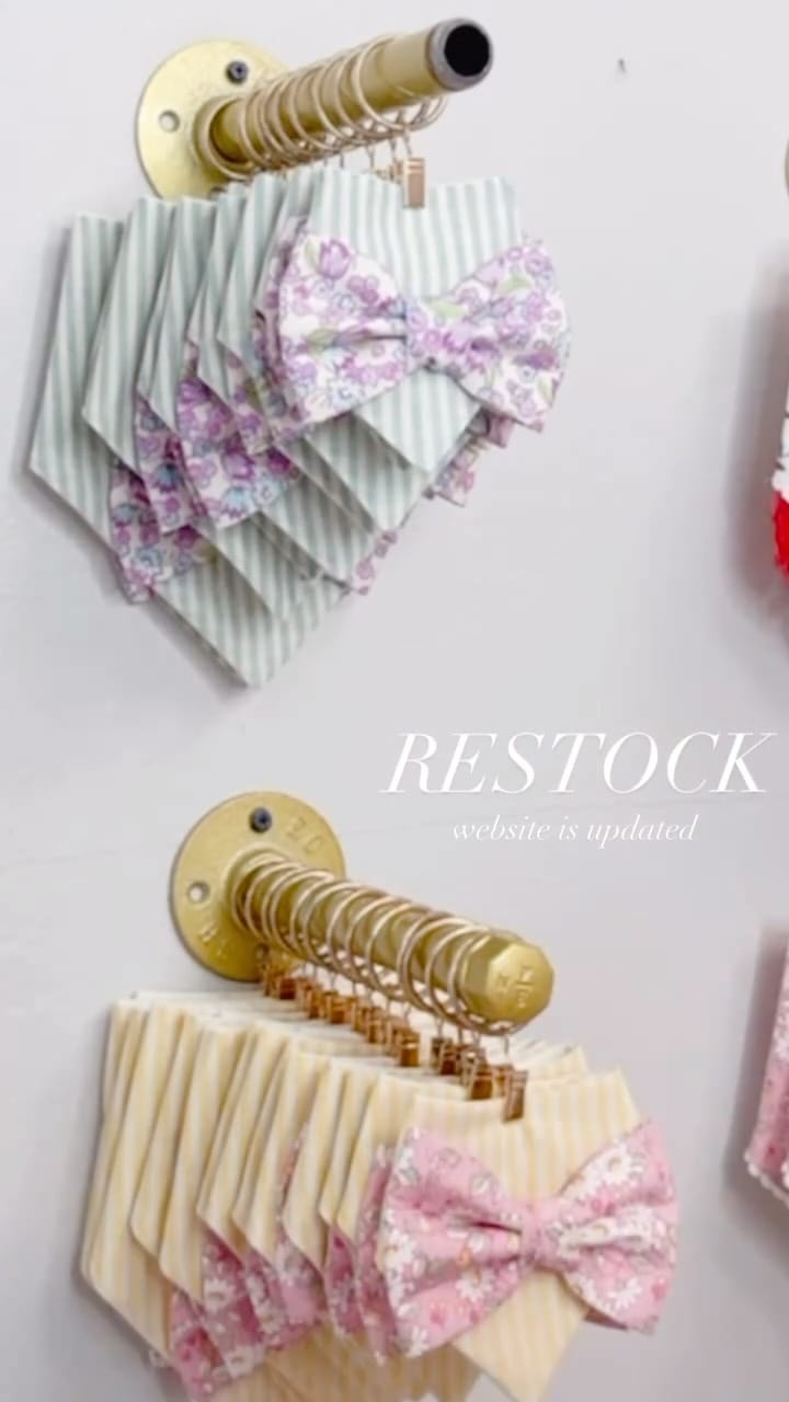 Post 5 by Modern dog accessories on Instagram (video)