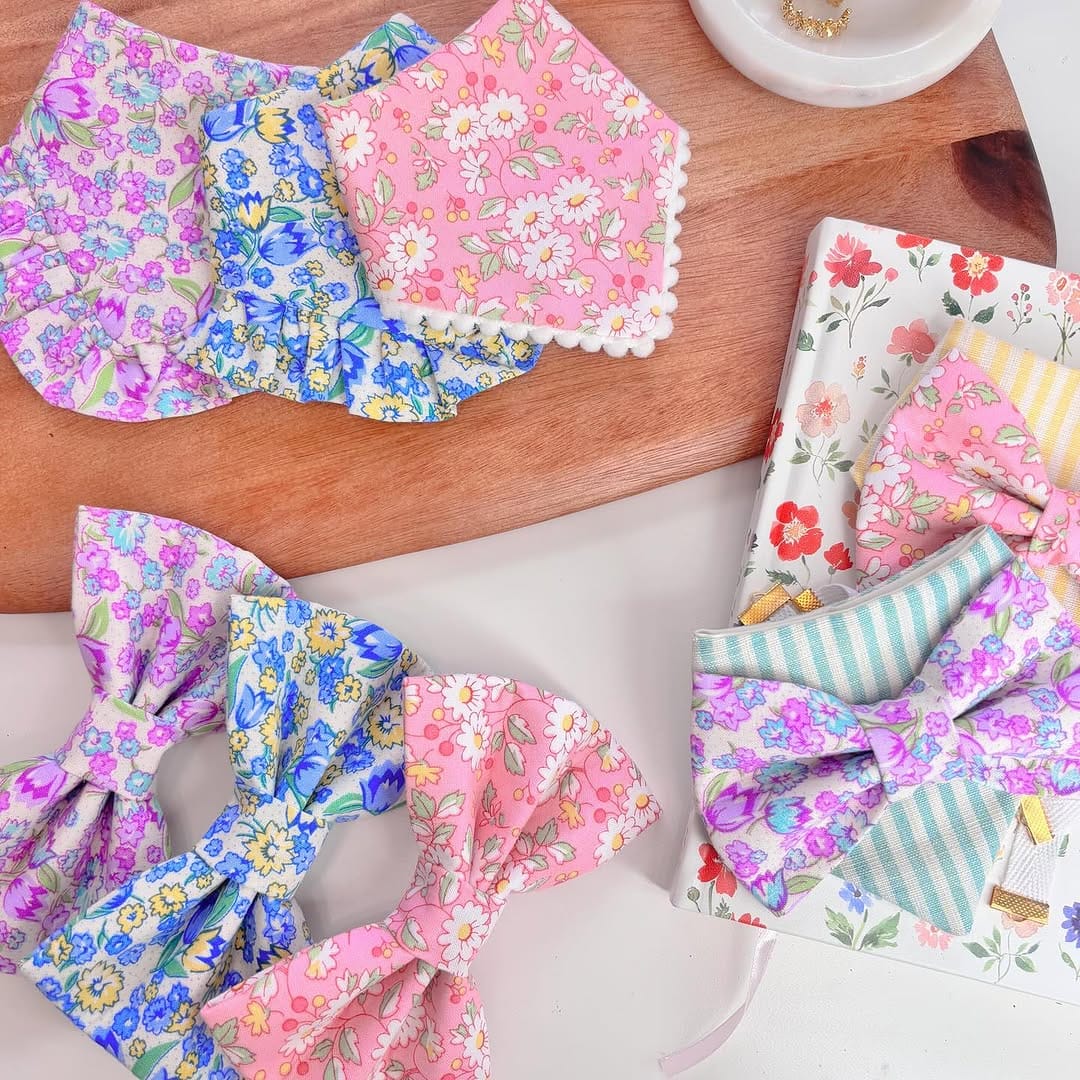 Post 3 by Modern dog accessories on Instagram (image)