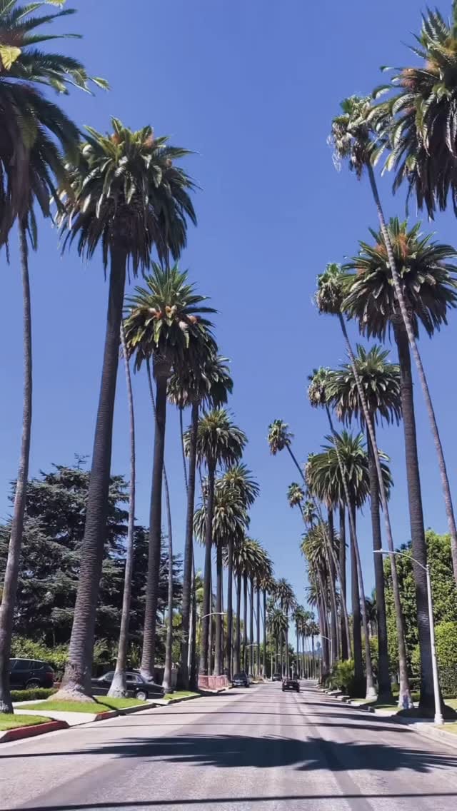 Post 8 by Siren Betty Design on Instagram (video)