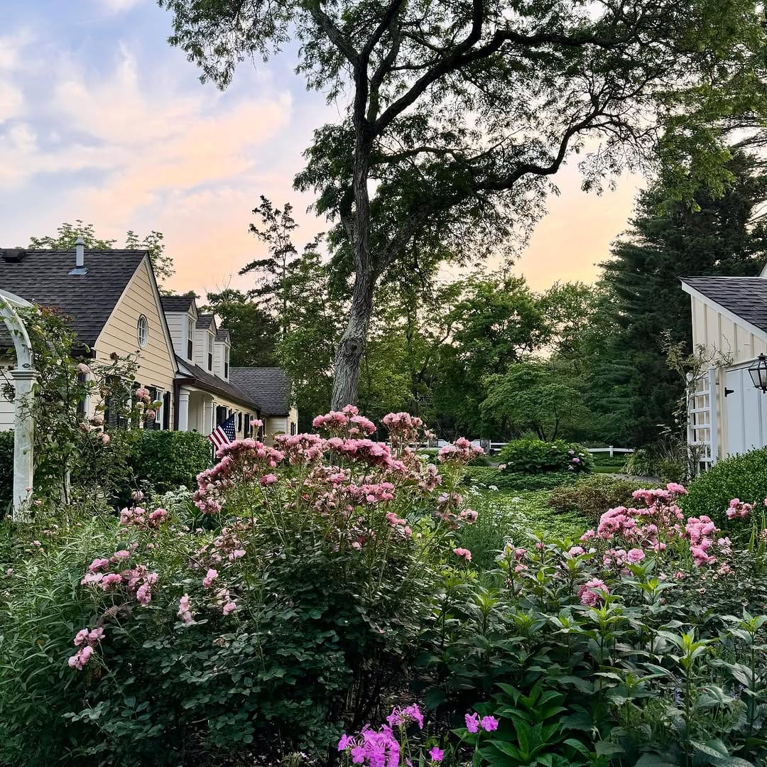 Post 8 by Heather Thomas on Instagram (image)