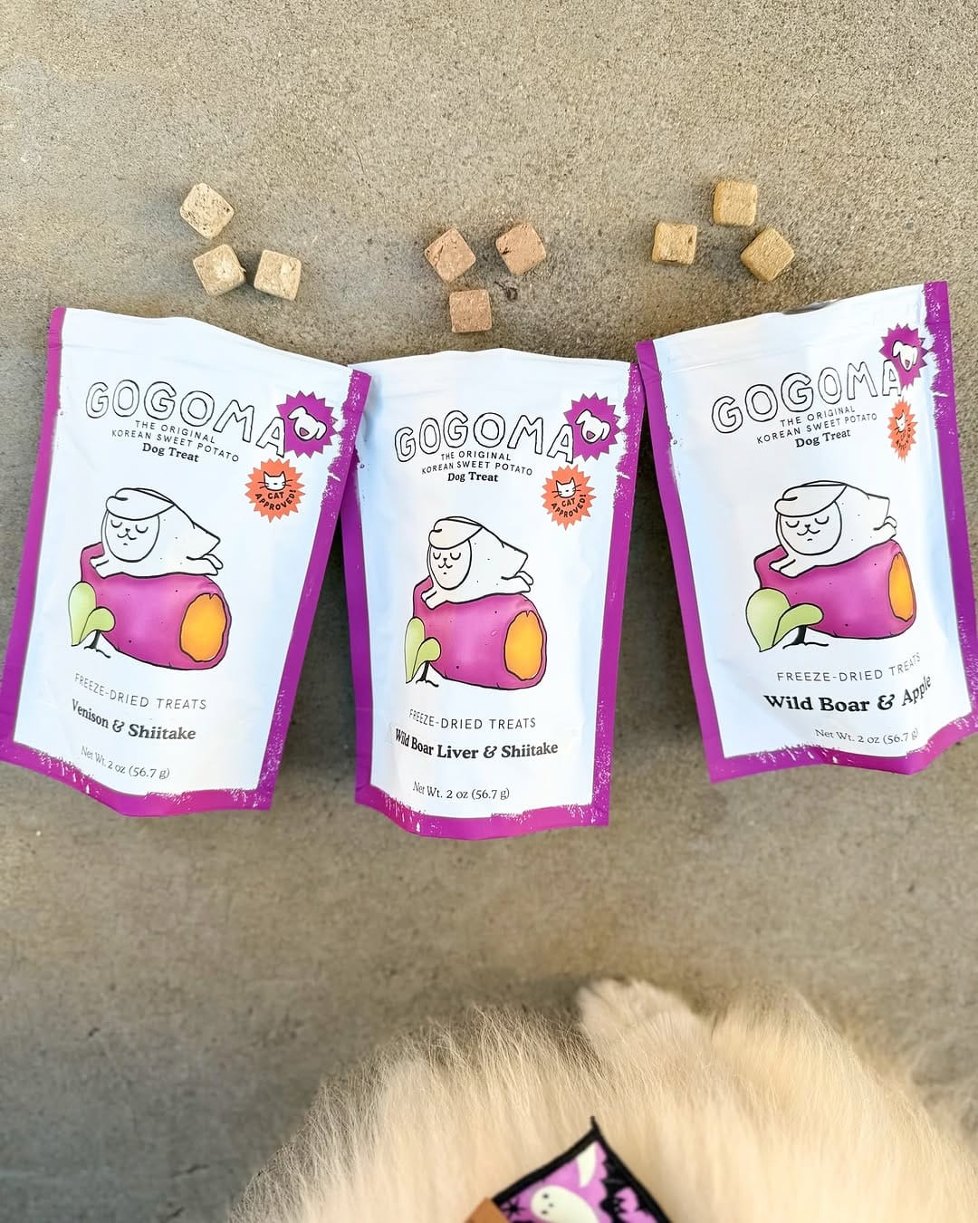 Post 11 by vivi’s collection | pet tags & enrichment on Instagram (carousel)