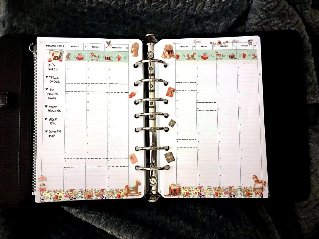 Post 6 by Tonya Plans 🖤 Planners on Instagram (image)