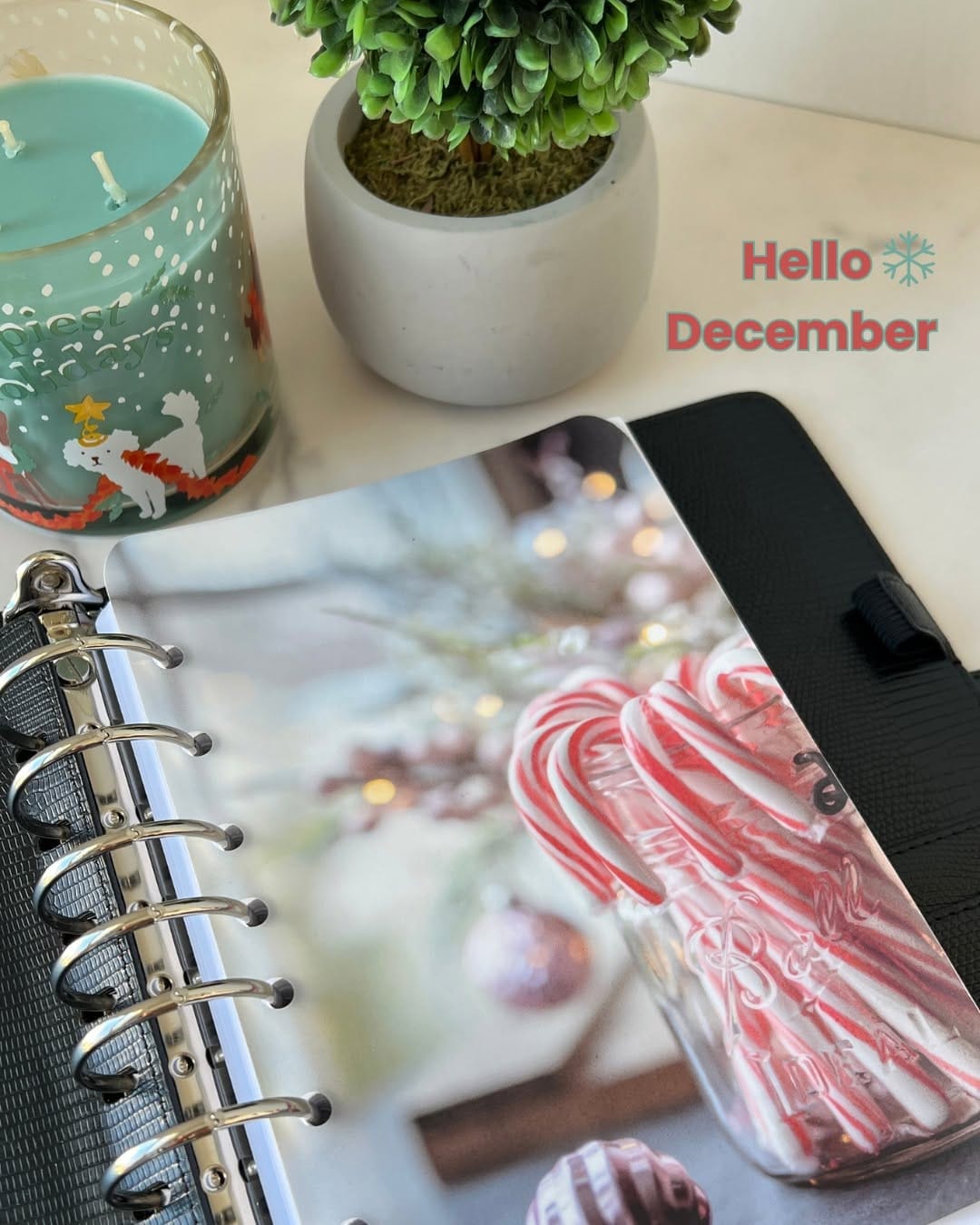 Post 8 by Tonya Plans 🖤 Planners on Instagram (image)