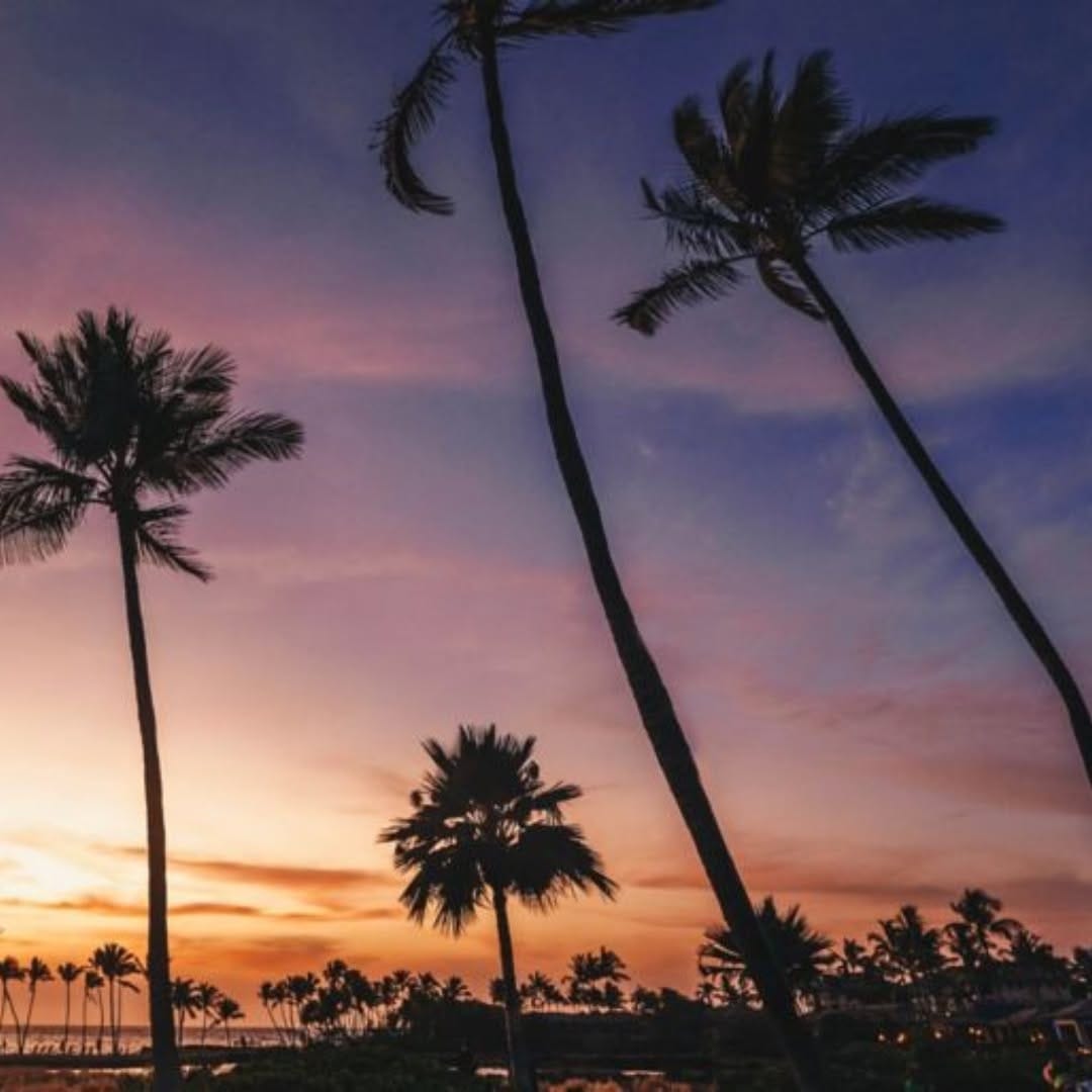 Post 9 by Waikoloa Beach Marriott on Instagram (carousel)