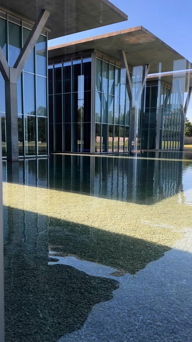 Post 5 by Shubby B on Instagram (video)