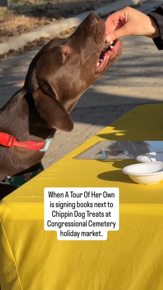 Post 6 by A Tour Of Her Own on Instagram (video)