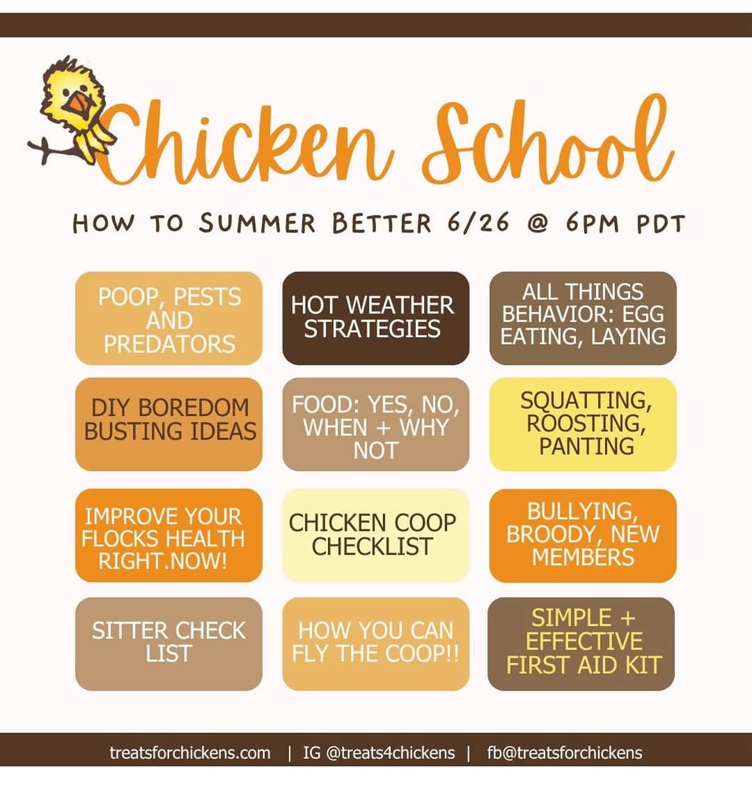 Post 6 by Treats for Chickens | Chicken Treats and More on Instagram (image)