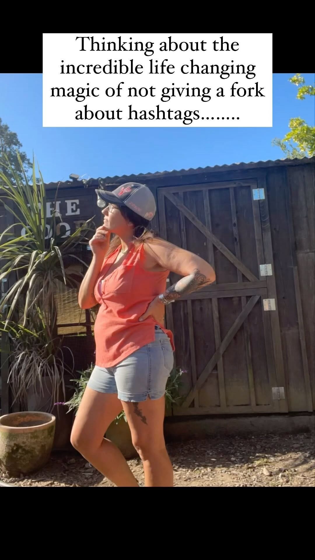 Post 12 by Treats for Chickens | Chicken Treats and More on Instagram (video)
