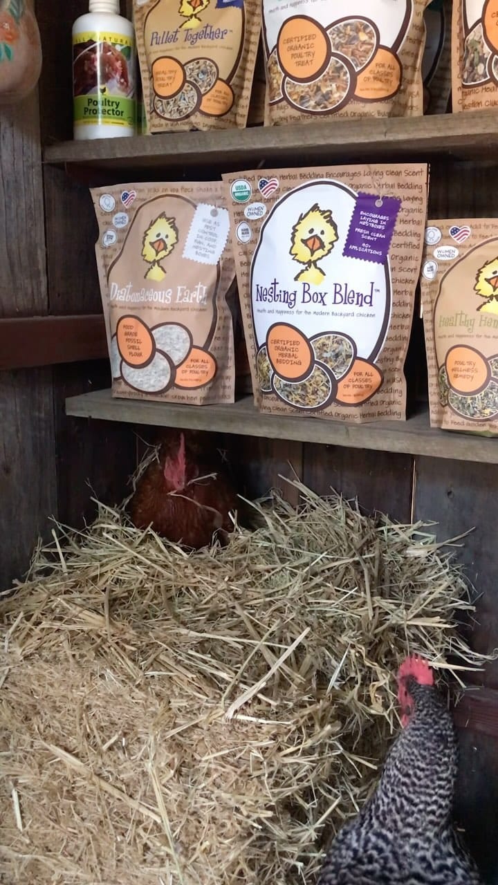Post 7 by Treats for Chickens | Chicken Treats and More on Instagram (video)