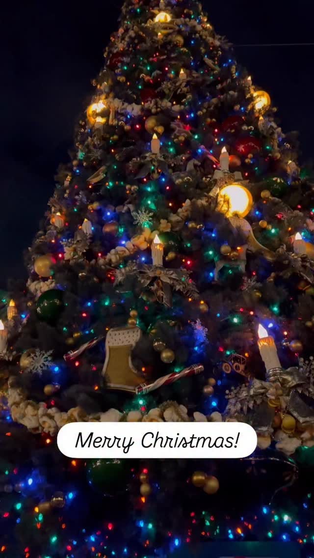 Post 12 by Kristen W. | Touch Of Sparkle on Instagram (video)
