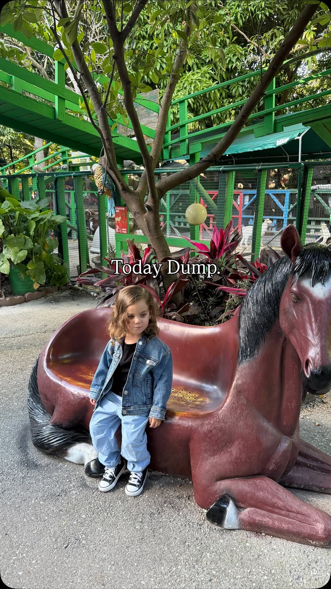 Post 1 by May Hillel Levit ♡ on Instagram (video)