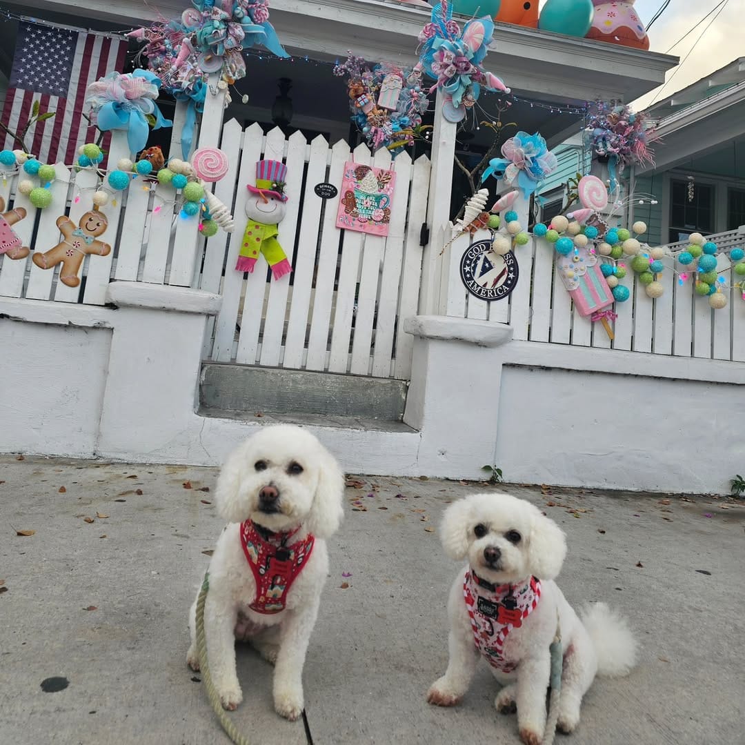 Post 6 by Stella & Penny on Instagram (carousel)