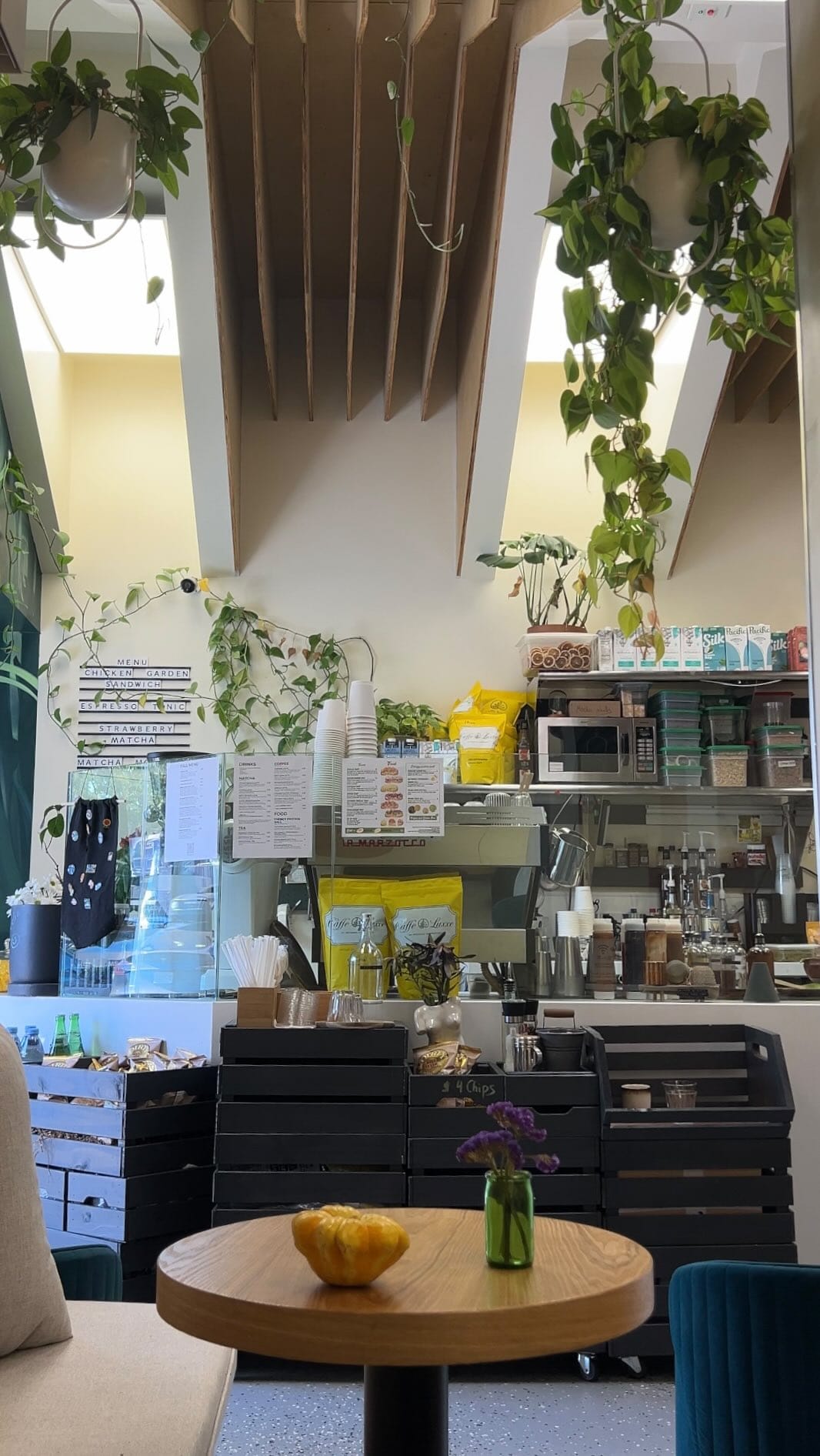 Post 8 by The Humanist Coffee + Matcha Shop on Instagram (video)