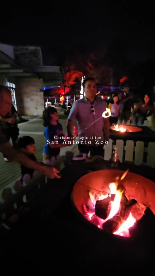 Post 7 by 𝐋𝐢𝐬𝐚 𝐀𝐥𝐟𝐚𝐫𝐨 | SATX Life + Style on Instagram (video)