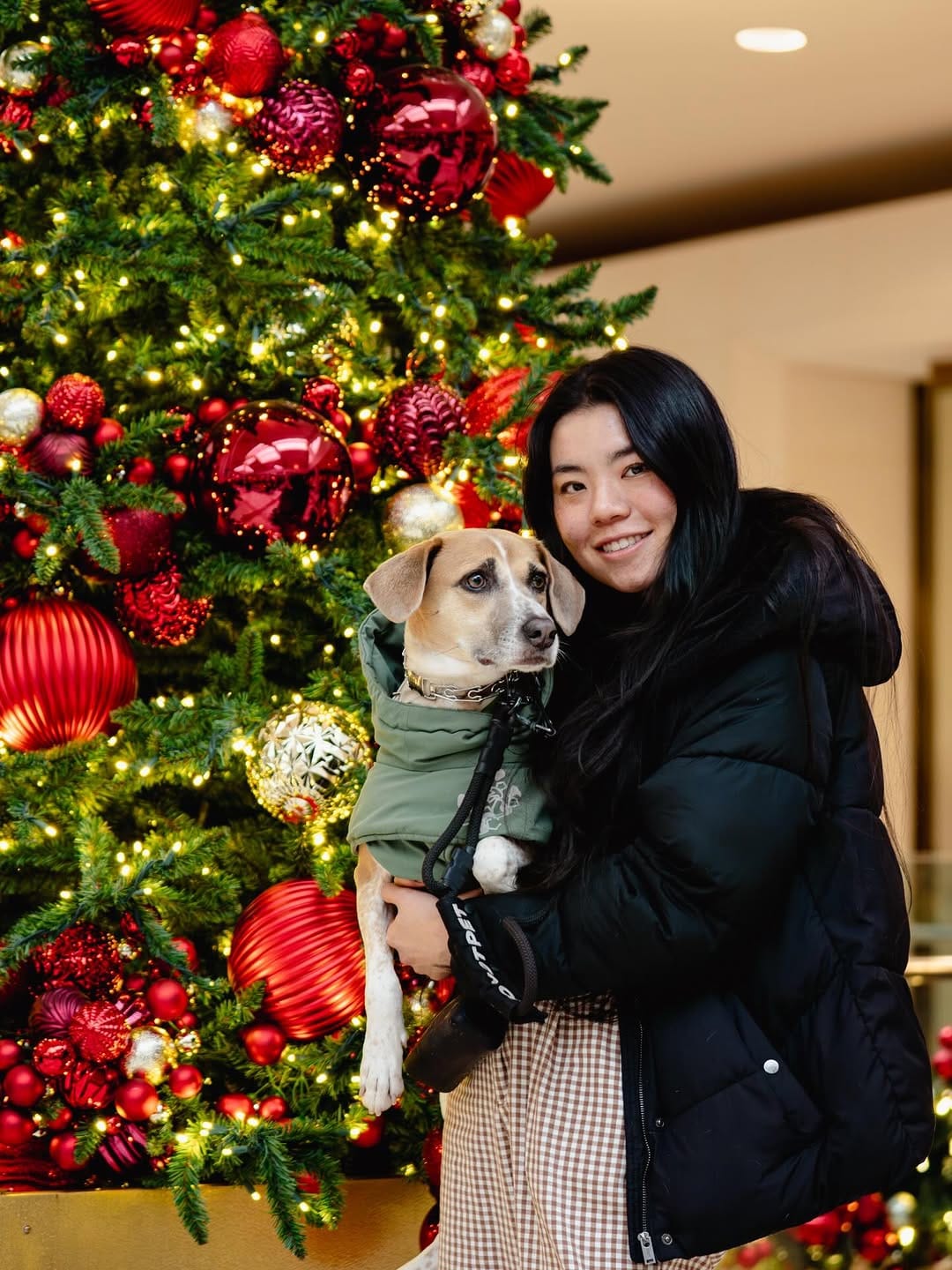 Post 4 by Love Liparu | For you + your pet(s) training journey. on Instagram (image)