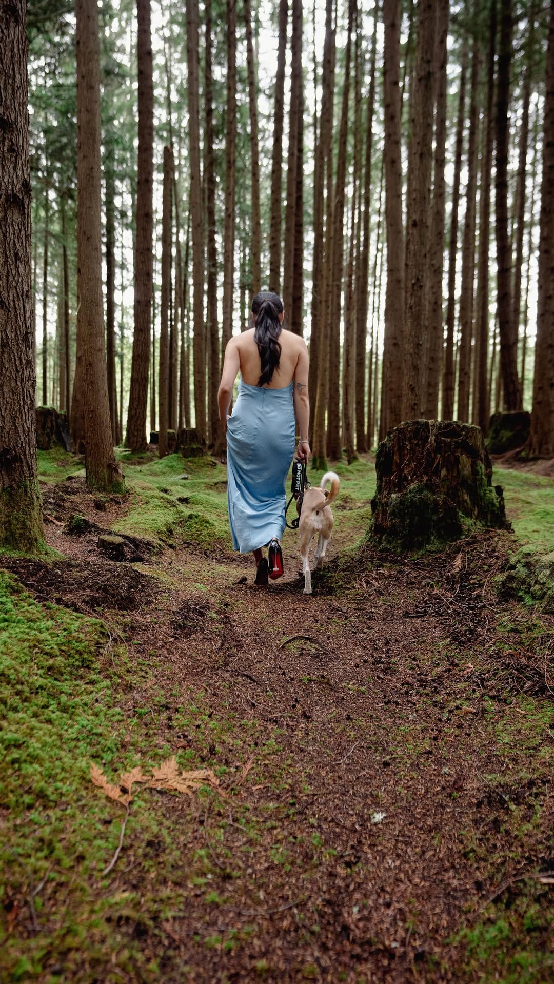 Post 11 by Love Liparu | For you + your pet(s) training journey. on Instagram (video)