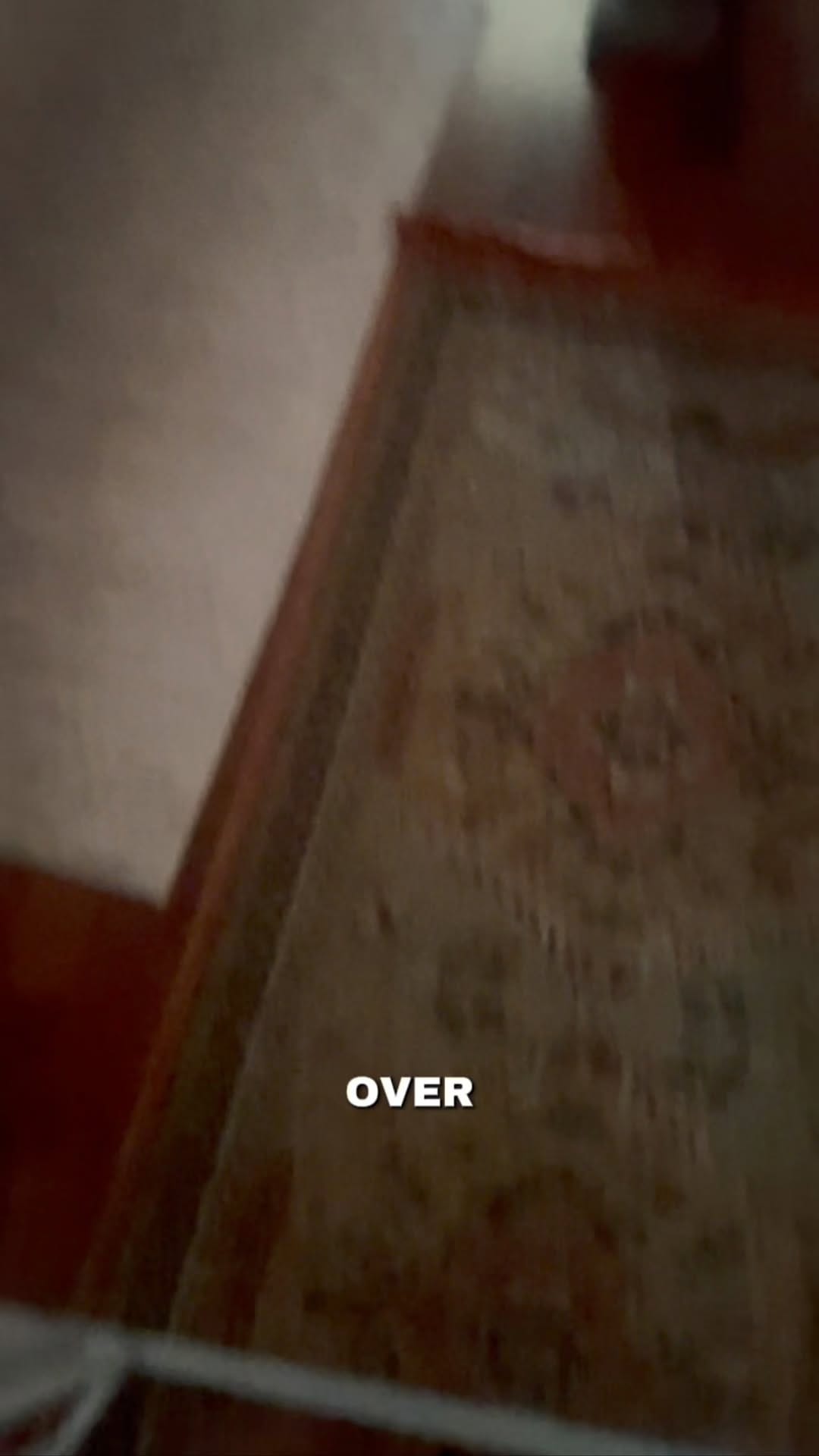 Post 6 by Smart Bitch | Nola Dog Trainer on Instagram (video)