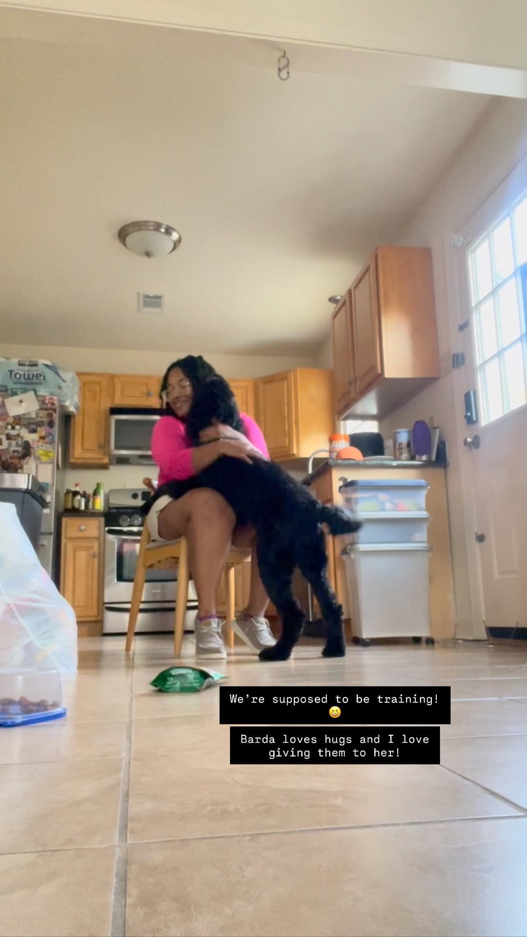 Post 7 by Smart Bitch | Nola Dog Trainer on Instagram (video)