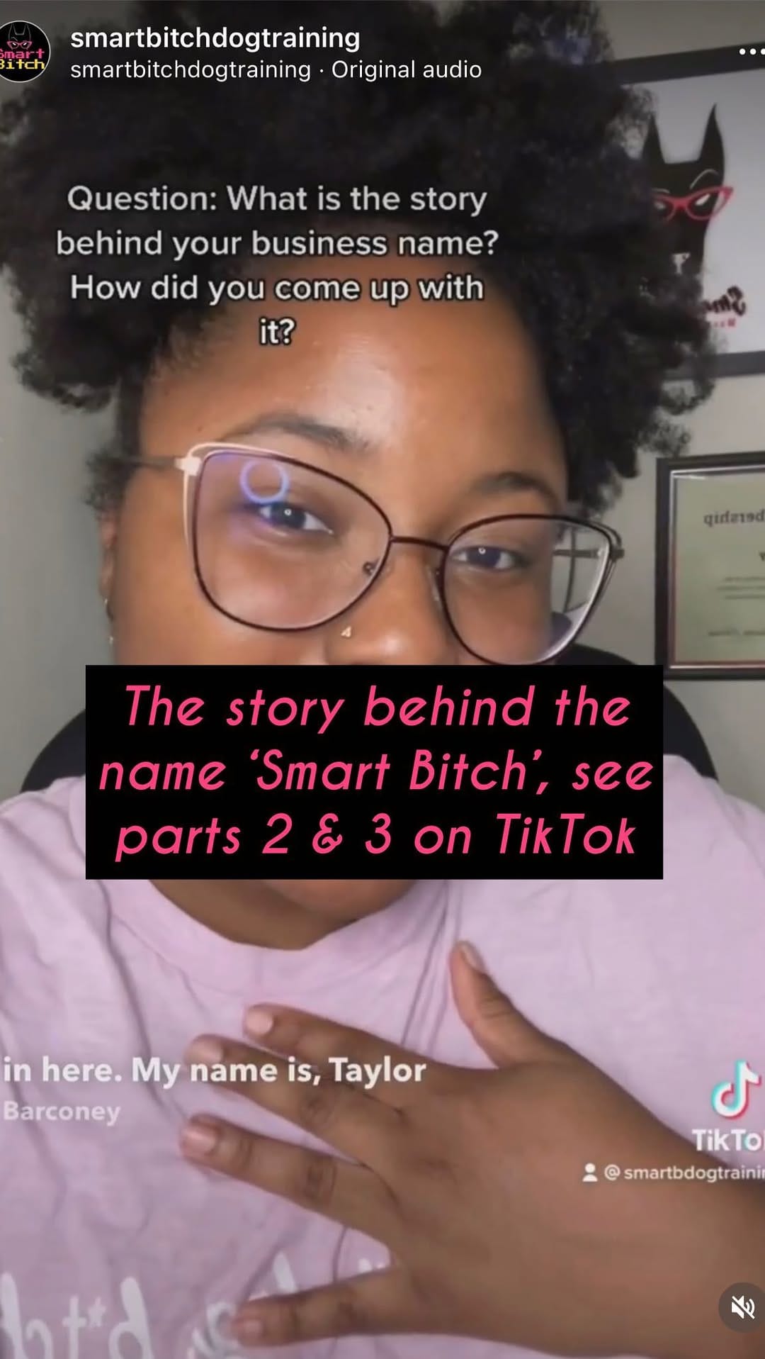 Post 12 by Smart Bitch | Nola Dog Trainer on Instagram (video)