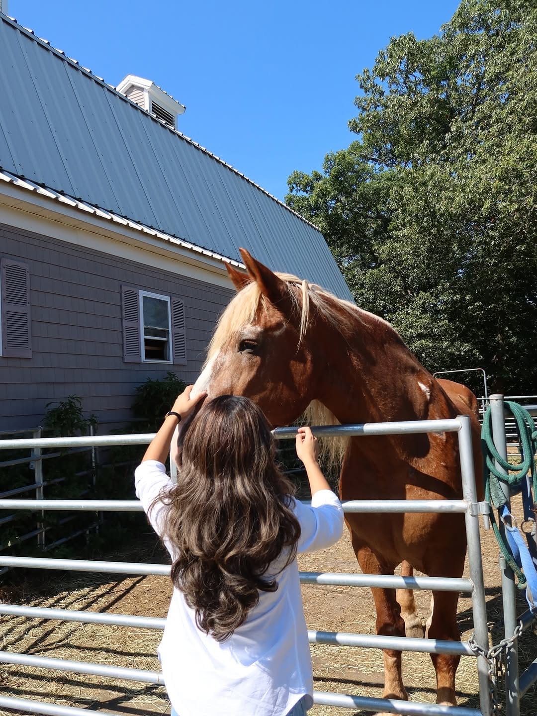 Post 11 by Britney Roldán on Instagram (carousel)
