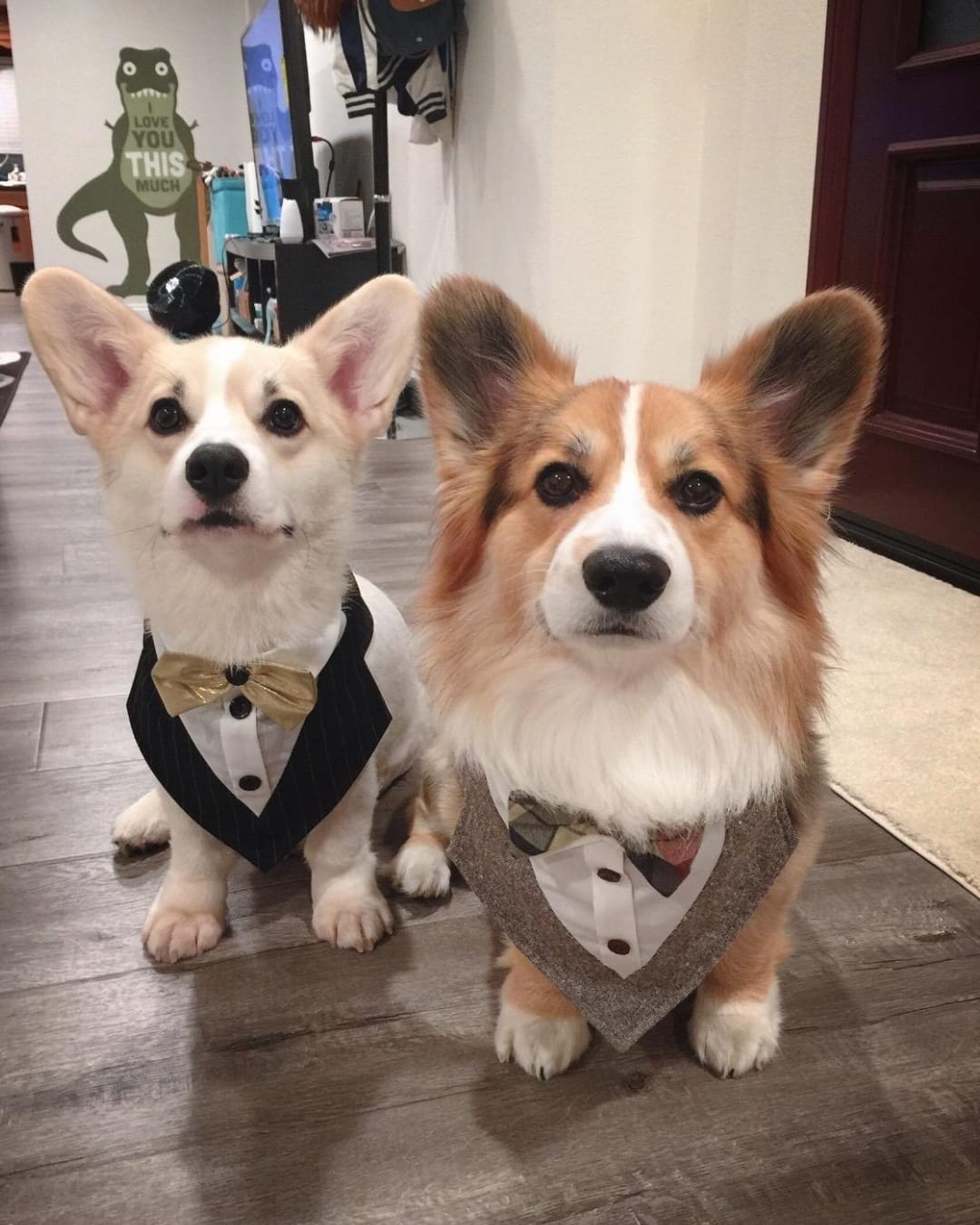 Post 1 by Dog Bandanas - Make Your Mark! on Instagram (image)