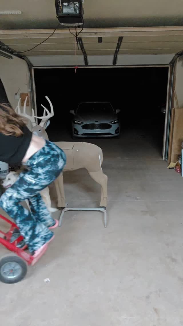 Post 7 by Shawna Marie Trent on Instagram (video)
