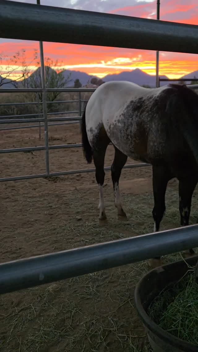 Post 3 by Shawna Marie Trent on Instagram (video)