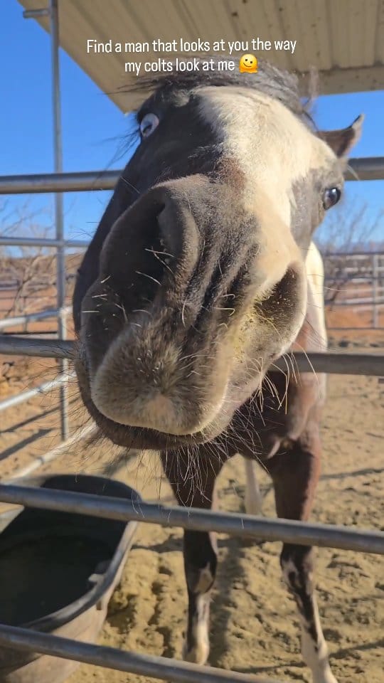 Post 10 by Shawna Marie Trent on Instagram (video)