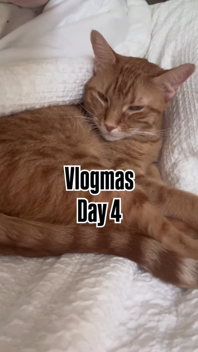 Post 5 by Kaleigh | thedailykaleigh on Instagram (video)