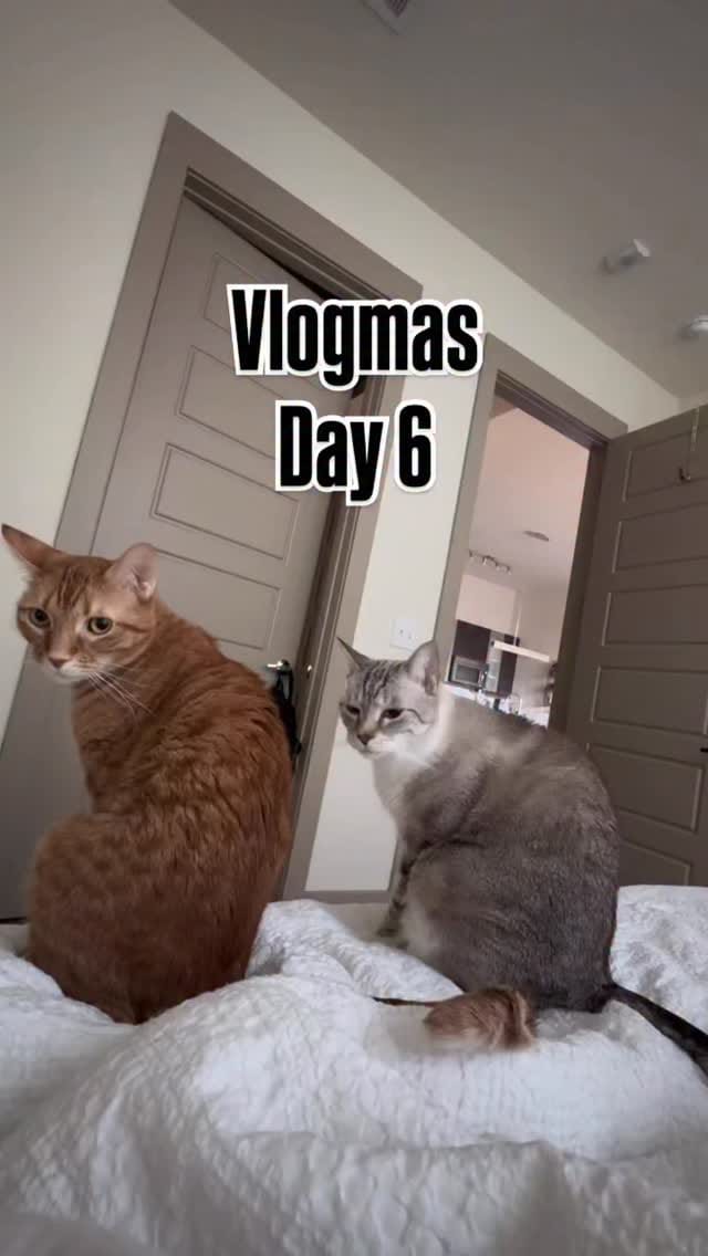 Post 3 by Kaleigh | thedailykaleigh on Instagram (video)