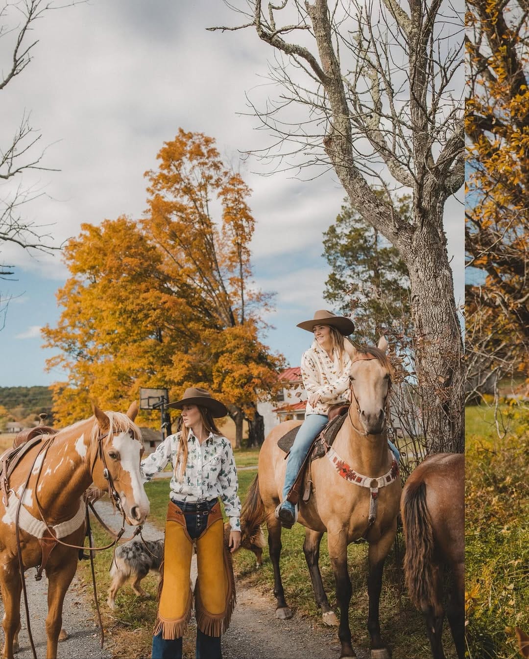 Post 8 by Emily Plecker Fry on Instagram (carousel)