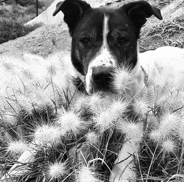 Post 12 by Love Grass on Instagram (image)