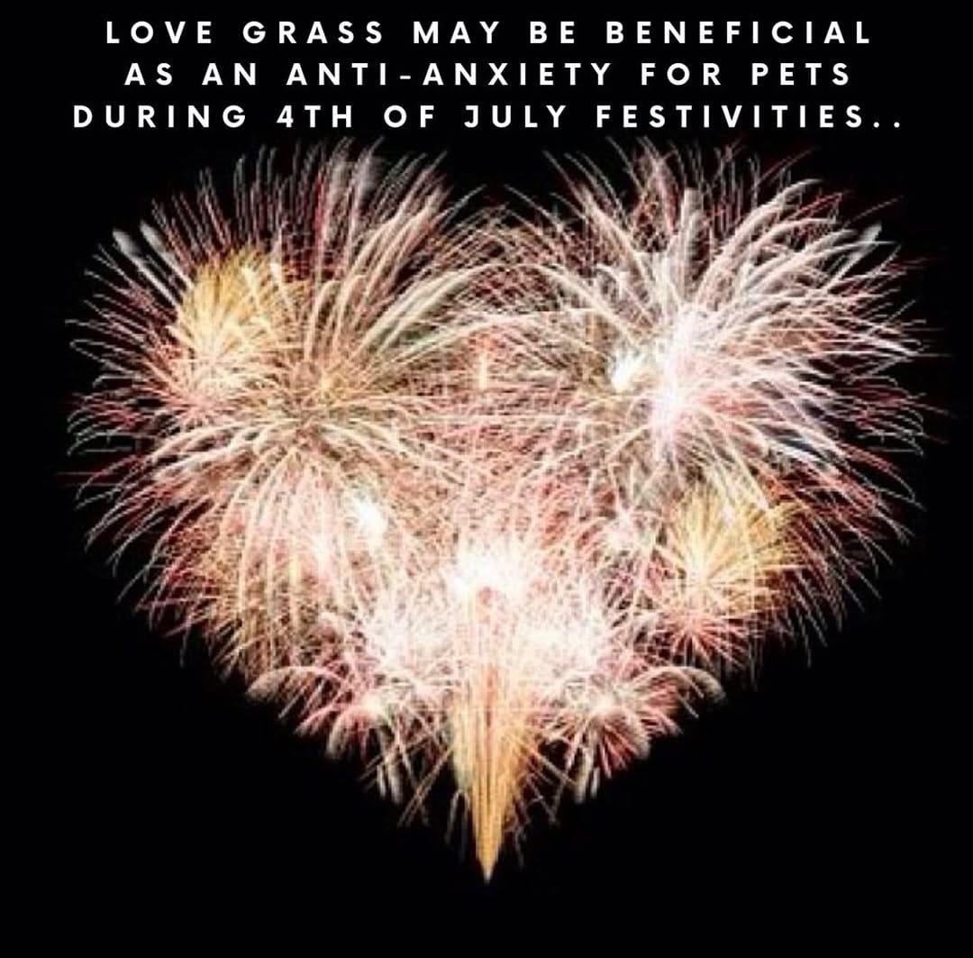 Post 5 by Love Grass on Instagram (image)