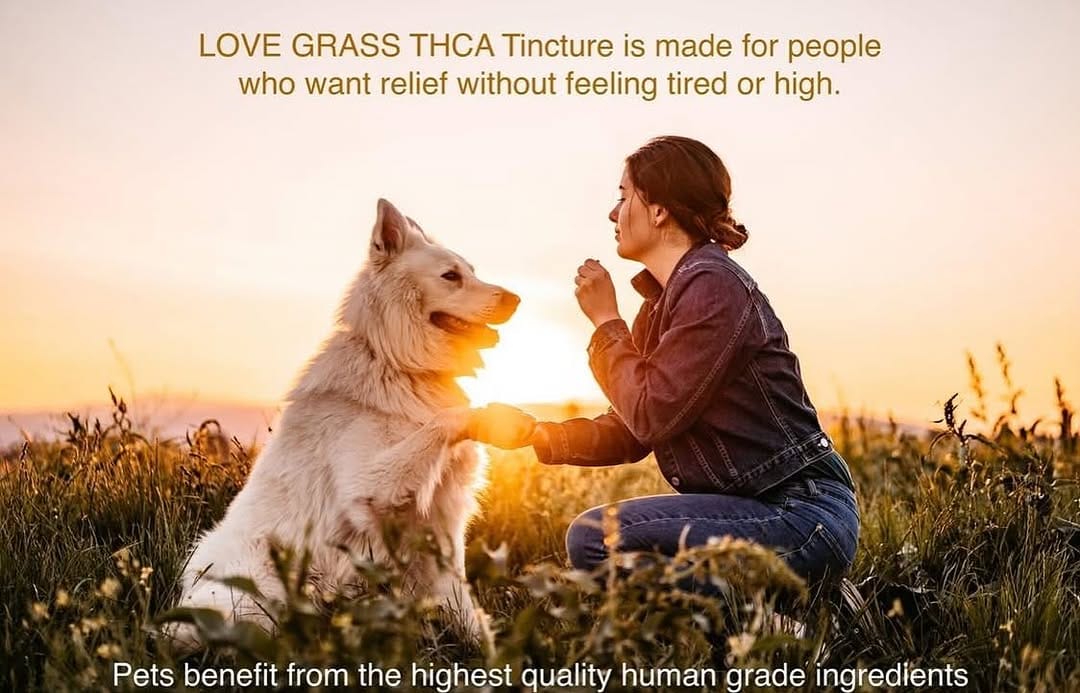 Post 3 by Love Grass on Instagram (image)