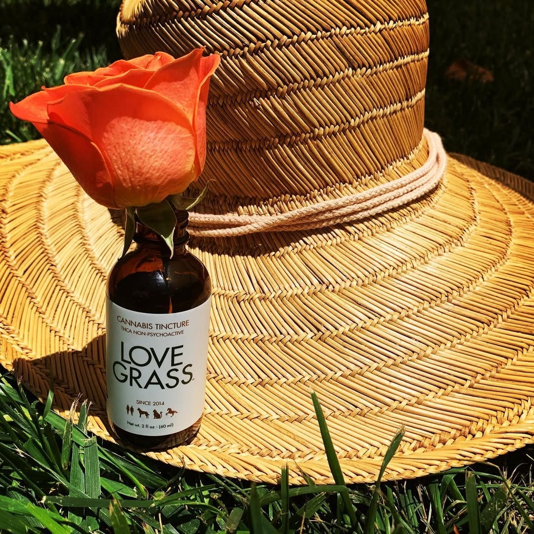 Post 8 by Love Grass on Instagram (image)