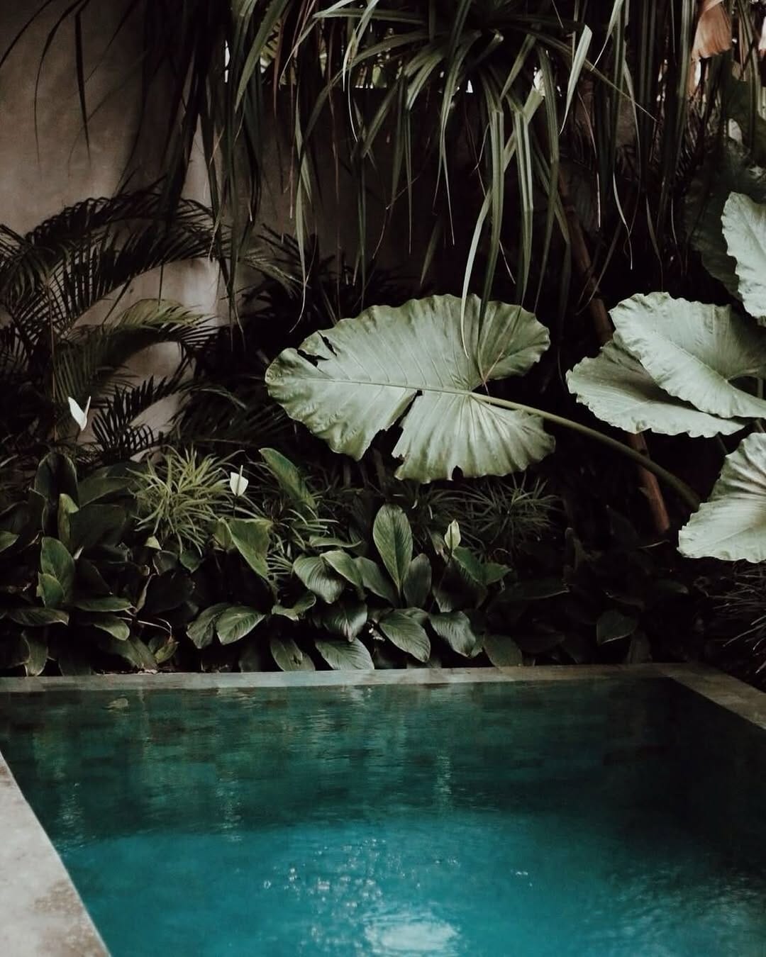 Post 4 by susan kamau🧿 on Instagram (image)