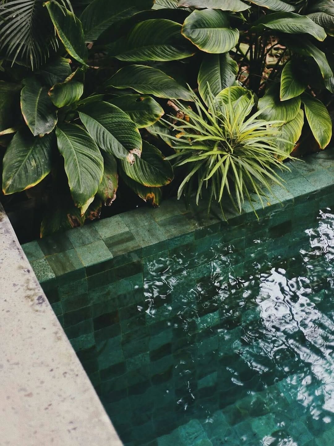 Post 6 by susan kamau🧿 on Instagram (image)