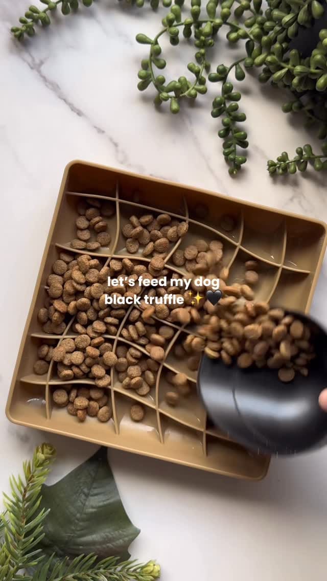 Post 8 by Wild n Fresh Treats on Instagram (video)