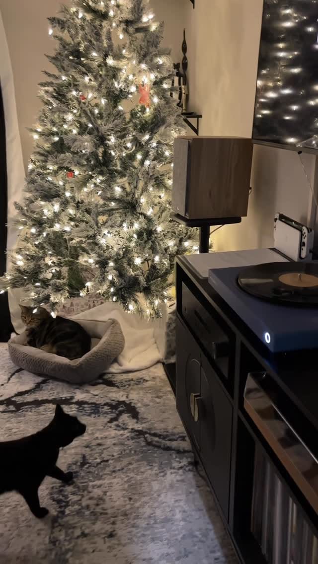 Post 4 by Natalie Jones on Instagram (video)
