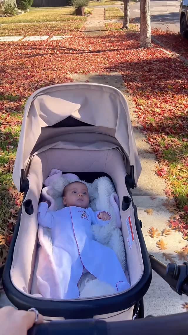 Post 6 by Maggie Ball on Instagram (video)