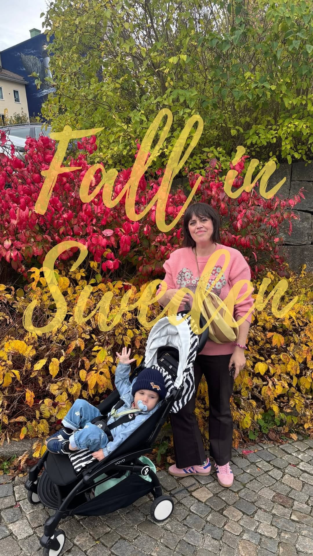Post 10 by Jenna | LA girl living in Sweden on Instagram (video)