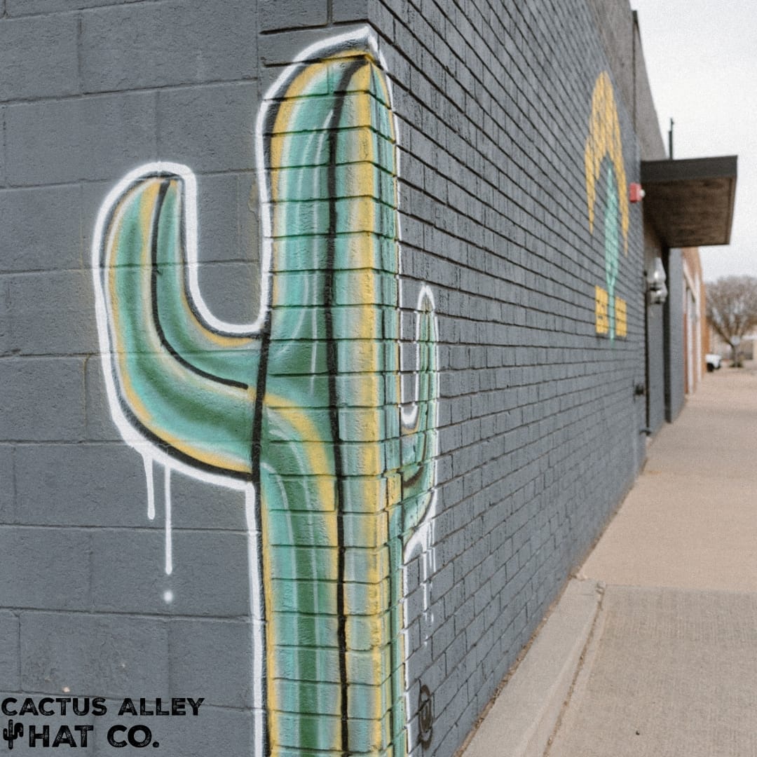 Post 9 by Cactus Alley Hat Co. on Instagram (carousel)