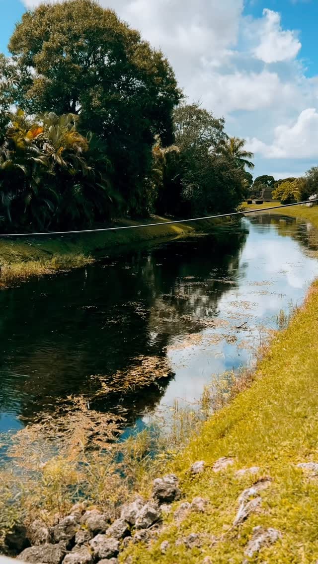 Post 4 by Mayra Bradley on Instagram (video)