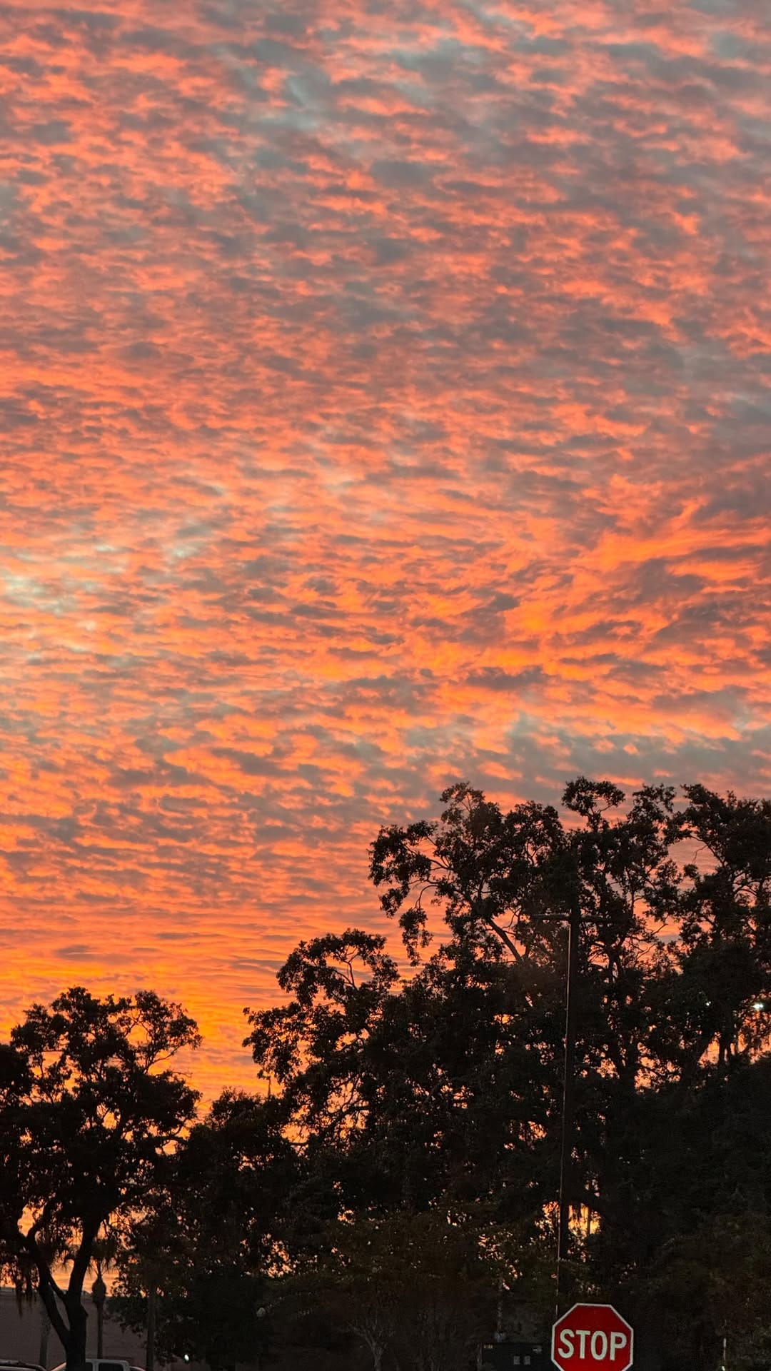 Post 1 by Jen | Tampa Content Creator on Instagram (video)