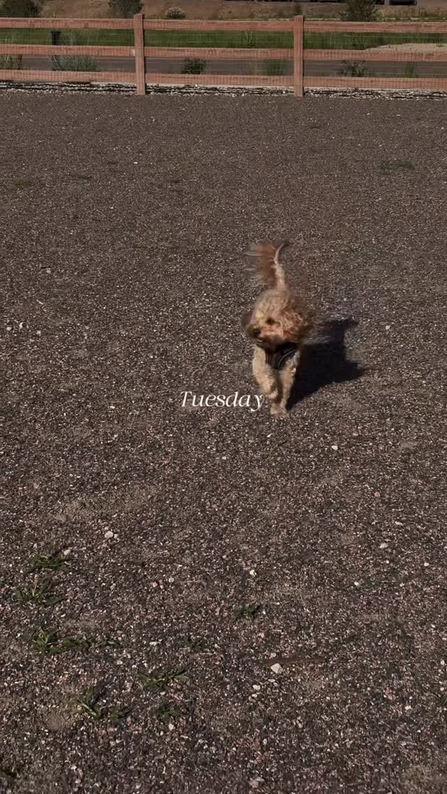 Post 4 by Chetara Monique | Content Creator on Instagram (video)