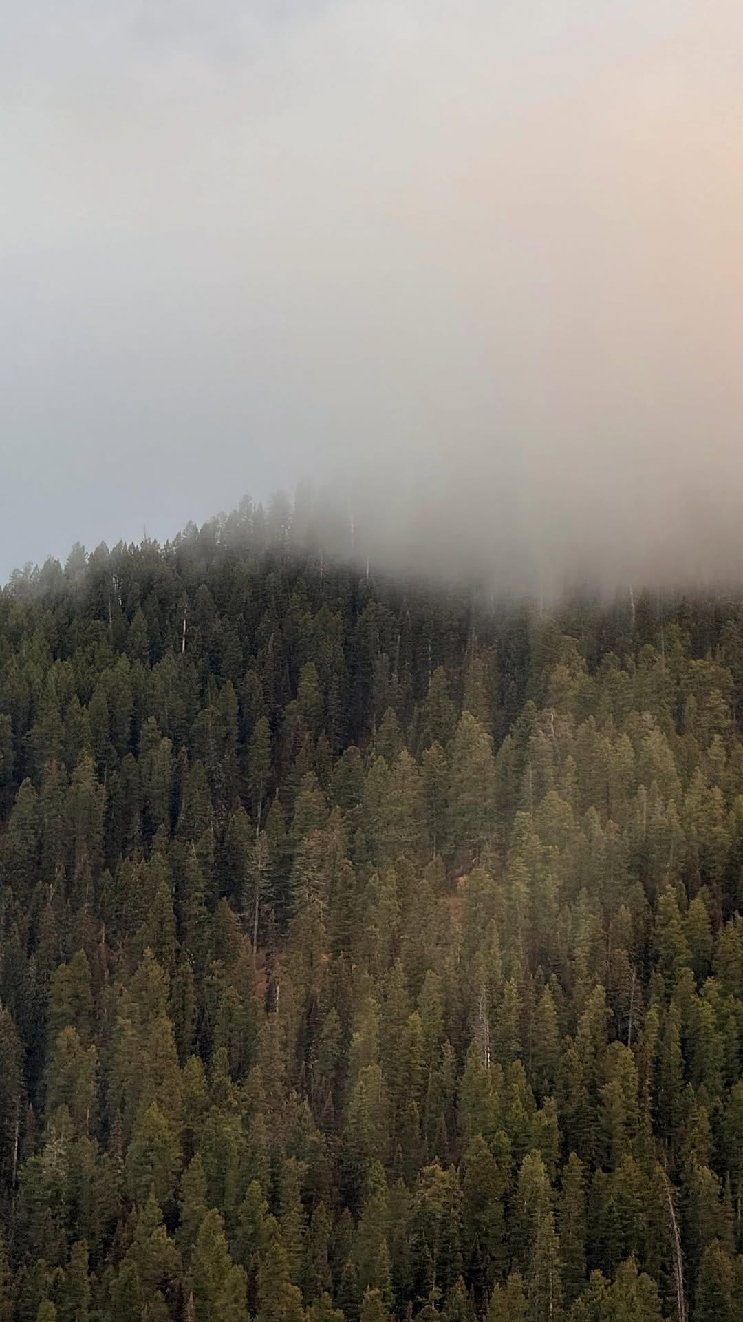 Post 9 by Adriene Wilde on Instagram (video)