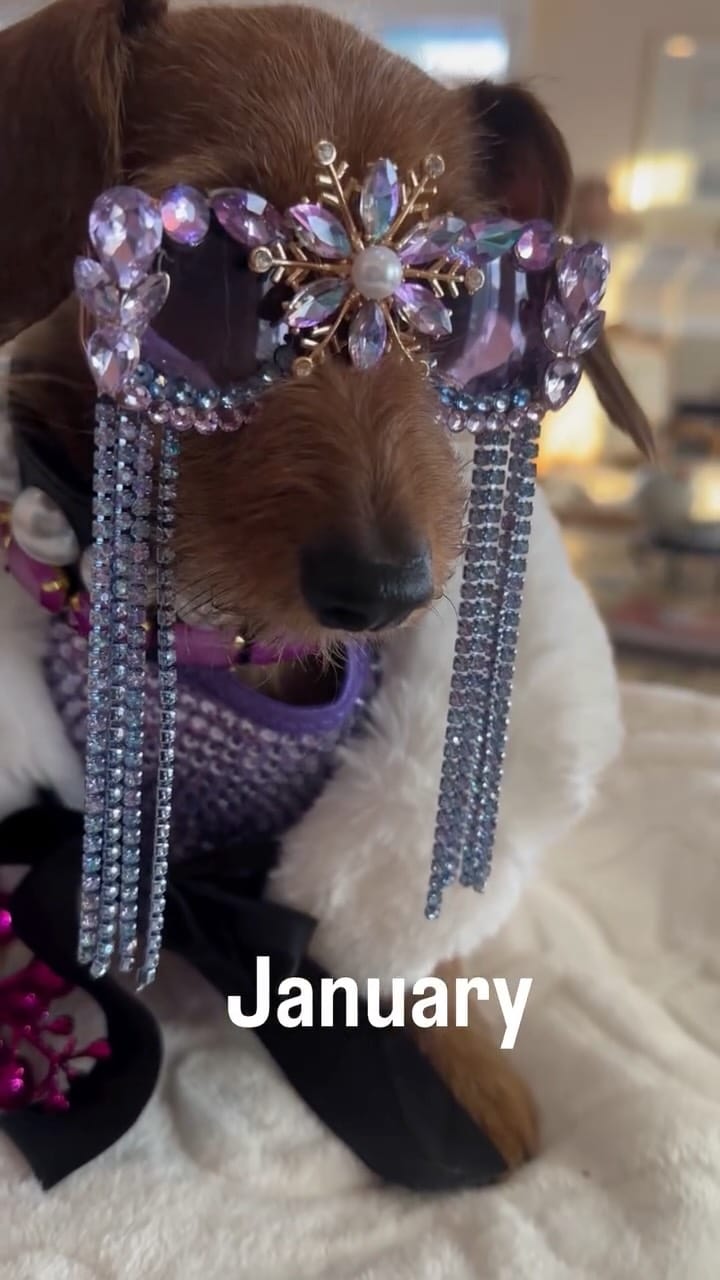 Post 8 by Aretha Queen Of Soul on Instagram (video)