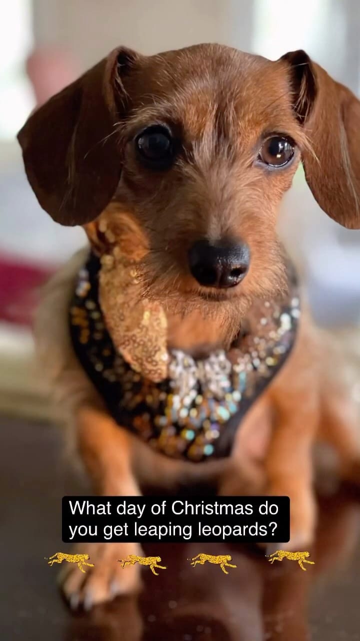 Post 7 by Aretha Queen Of Soul on Instagram (video)