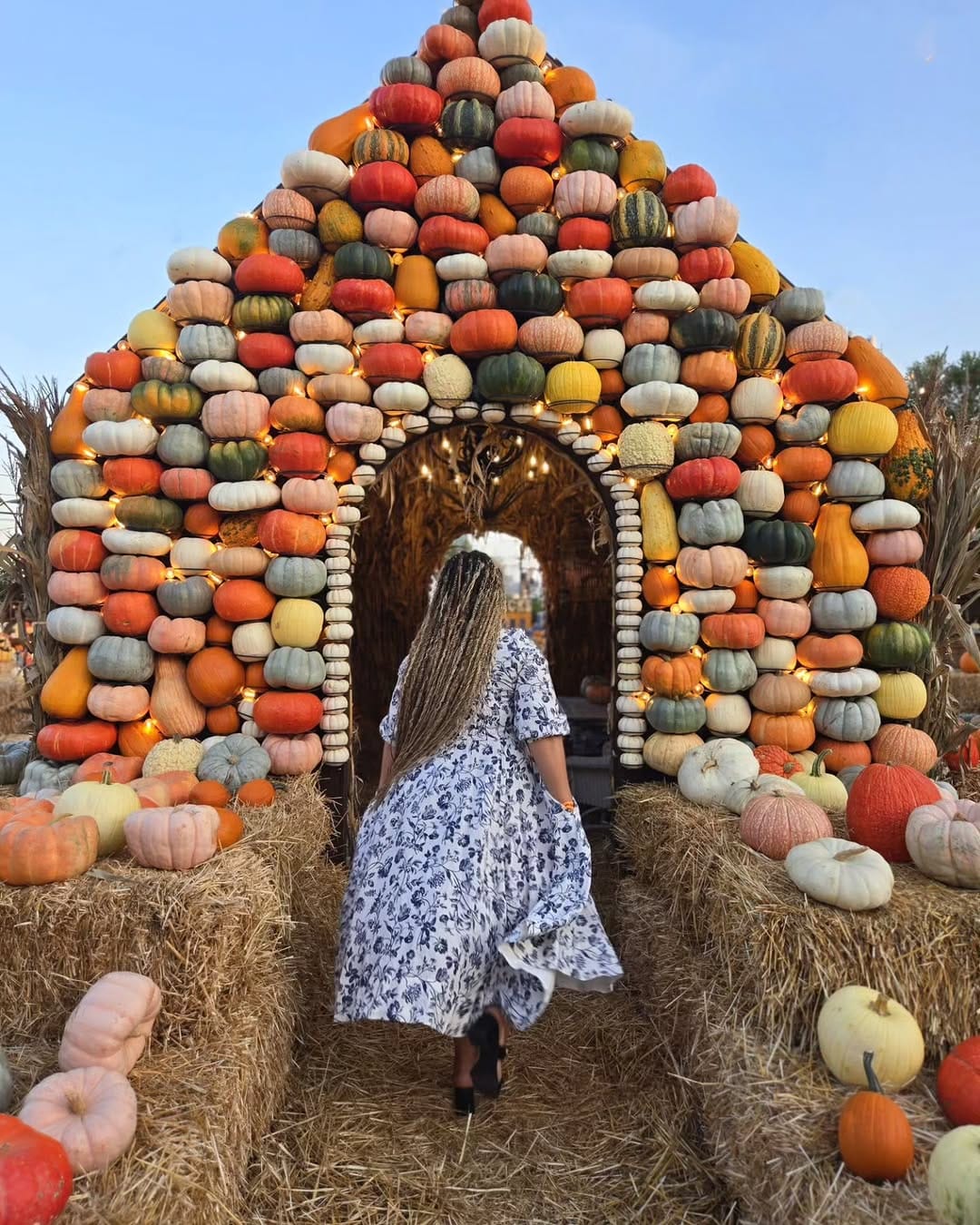 Post 3 by CAPRICE COLE on Instagram (carousel)