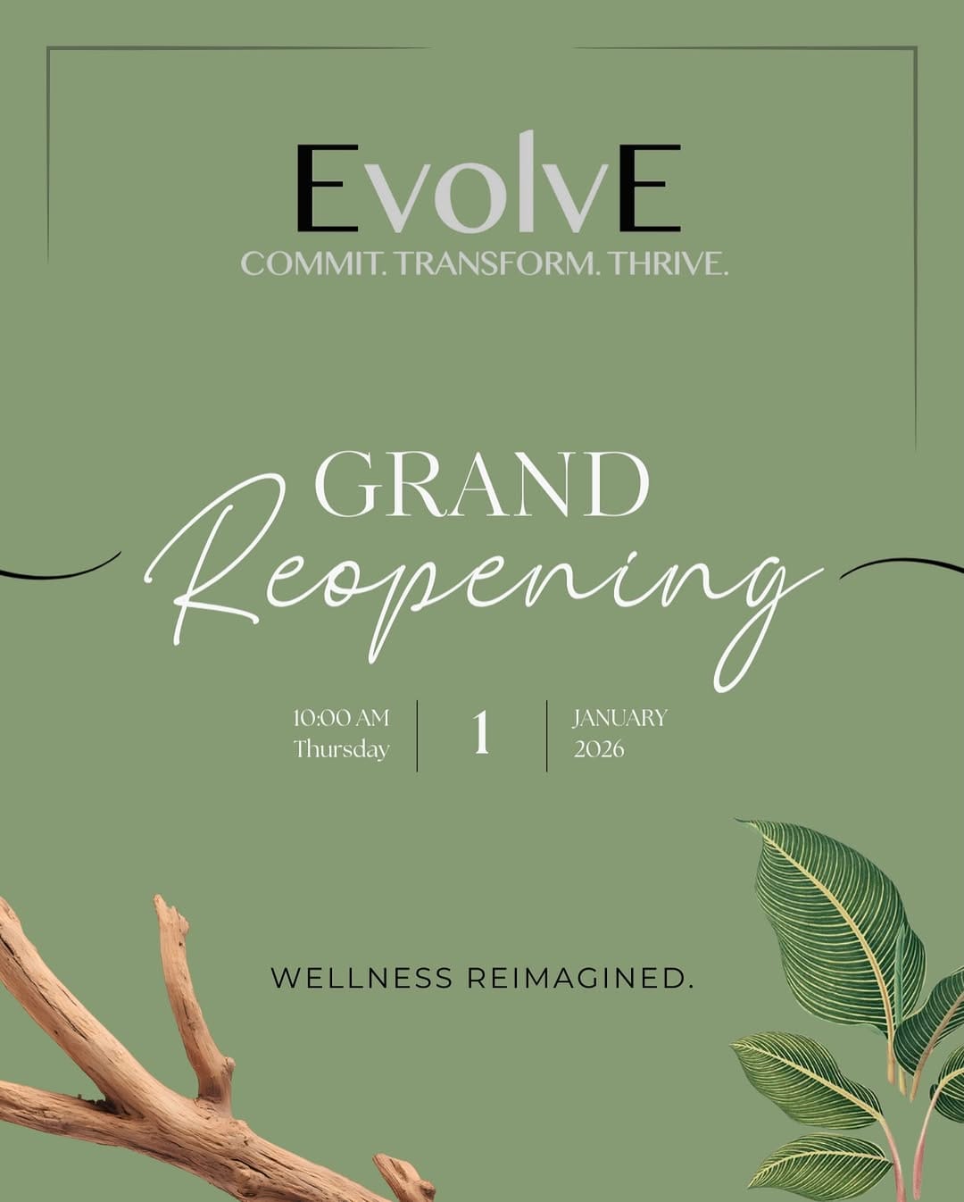 Post 5 by EvolvE on Instagram (image)